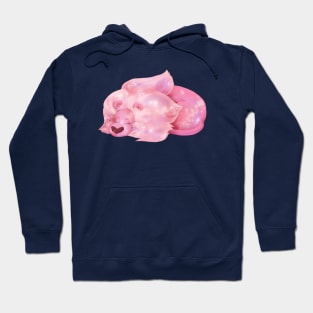 Sleeping Lion - Steven Universe fan art by Lavinia Knight Hoodie